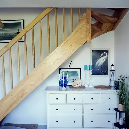 12 Apartment